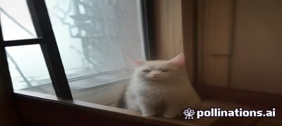 光猫和路由器设备特写，网线连接清晰可见，展示宽带测速 电信时有线直连的正确接线方式
